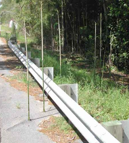 Bamboo, Miracle of Nature or 'Demon Weed' DestructiveBamboo